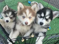 processed/96170518-2309-4172-a76b-83fd19e7b1a1/facility/2bb4fa00-1f0b-4cc3-81b8-dac5e0927b6e