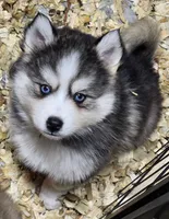 processed/96170518-2309-4172-a76b-83fd19e7b1a1/facility/4dd8771e-002e-49bf-a724-7db4c9899d80