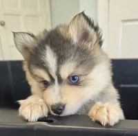 processed/96170518-2309-4172-a76b-83fd19e7b1a1/facility/6ad578b2-66d9-4db5-b1c0-c0d65f2ff2b9