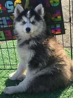 processed/96170518-2309-4172-a76b-83fd19e7b1a1/facility/90185f65-3d8c-477d-a8a9-7475f87bec12