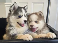 processed/96170518-2309-4172-a76b-83fd19e7b1a1/facility/af82f77e-27a9-458e-a919-f08c23764eec