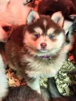 processed/96170518-2309-4172-a76b-83fd19e7b1a1/facility/c46a2151-6dbb-4d9c-aa90-5256e2bfbe45