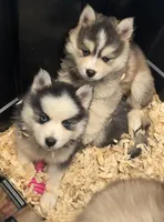 processed/96170518-2309-4172-a76b-83fd19e7b1a1/facility/cacd3c9a-de24-409f-a36c-13b77697cf9b