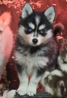 processed/96170518-2309-4172-a76b-83fd19e7b1a1/facility/d25fcabf-3421-4332-b652-7953c5a501b1