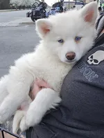 processed/96170518-2309-4172-a76b-83fd19e7b1a1/facility/fcde3d75-17aa-458a-bdcc-a15c3e4be607