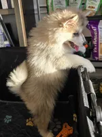 processed/96170518-2309-4172-a76b-83fd19e7b1a1/listing/bc7691ed-458d-4291-ab05-513dad7f5bd9/02f3767f-6e30-456f-8fa0-7f10f23e346e