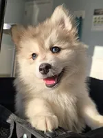 processed/96170518-2309-4172-a76b-83fd19e7b1a1/listing/bc7691ed-458d-4291-ab05-513dad7f5bd9/1279bce2-b2a4-459a-af9e-c3e92fddebb7