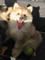 processed/96170518-2309-4172-a76b-83fd19e7b1a1/listing/bc7691ed-458d-4291-ab05-513dad7f5bd9/30fcb17f-e1d5-4880-9f28-924de8a1e7f3