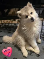 processed/96170518-2309-4172-a76b-83fd19e7b1a1/listing/bc7691ed-458d-4291-ab05-513dad7f5bd9/3b40a49f-137a-49fa-8ddf-aef73a1f6dd4