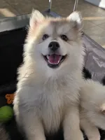 processed/96170518-2309-4172-a76b-83fd19e7b1a1/listing/bc7691ed-458d-4291-ab05-513dad7f5bd9/4ed2ed08-bec1-49e9-a642-b1efcac78ddb