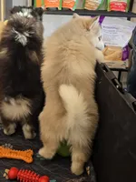 processed/96170518-2309-4172-a76b-83fd19e7b1a1/listing/bc7691ed-458d-4291-ab05-513dad7f5bd9/84007857-10c5-489a-80db-934442055806