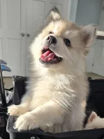 processed/96170518-2309-4172-a76b-83fd19e7b1a1/listing/bc7691ed-458d-4291-ab05-513dad7f5bd9/9acea00d-a1ca-4c90-8234-36fbd88404b5