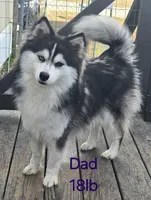 processed/96170518-2309-4172-a76b-83fd19e7b1a1/listing/bc7691ed-458d-4291-ab05-513dad7f5bd9/c646232a-a738-46cd-a74b-65d59baf5ddb