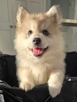 processed/96170518-2309-4172-a76b-83fd19e7b1a1/listing/bc7691ed-458d-4291-ab05-513dad7f5bd9/c7bda93a-6662-4935-aa5b-58615e336d17