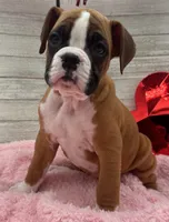 processed/96178020-a849-4485-8ddf-b9281ec773c7/listing/b6216e79-16b4-43cb-8676-50f6fdba57d1/140dc610-868d-4325-9c7f-fc20b5aca00c