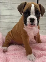 processed/96178020-a849-4485-8ddf-b9281ec773c7/listing/b6216e79-16b4-43cb-8676-50f6fdba57d1/aa644323-cb4a-4d40-aaf1-761cd728186d