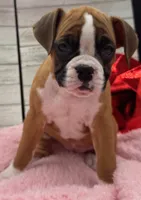 processed/96178020-a849-4485-8ddf-b9281ec773c7/listing/b6216e79-16b4-43cb-8676-50f6fdba57d1/b500a356-8747-472b-a951-089d2b4f8524