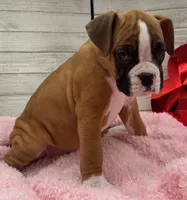 processed/96178020-a849-4485-8ddf-b9281ec773c7/listing/b6216e79-16b4-43cb-8676-50f6fdba57d1/fd3b6dfc-269e-49c0-95a7-3213ad79b15e