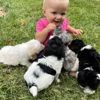 processed/9617ba7a-64b9-4a6e-a402-088e0a29d410/facility/970ac338-be76-4aa7-91c7-74a962b32075