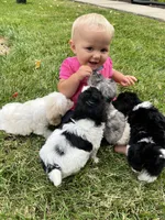 processed/9617ba7a-64b9-4a6e-a402-088e0a29d410/facility/970ac338-be76-4aa7-91c7-74a962b32075