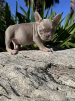 processed/961a91fa-95a0-4d47-a2fa-9372c3acee72/listing/9fcfd199-2e25-407a-bc8c-86094762ca5a/341557dc-53a7-4b6a-b978-f0447dd25175