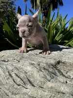 processed/961a91fa-95a0-4d47-a2fa-9372c3acee72/listing/9fcfd199-2e25-407a-bc8c-86094762ca5a/51a9e414-a129-4c88-a477-98aaeec1bad4