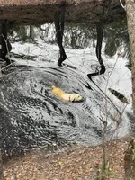 processed/961b4ded-91b2-430b-8432-1d00fbbe4baf/facility/070c34e6-f2b4-4887-a18b-178b869efb3a