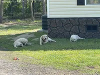 processed/961b4ded-91b2-430b-8432-1d00fbbe4baf/facility/27a5b807-7749-454a-903e-441595d143ec