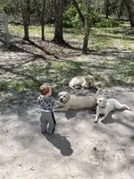 processed/961b4ded-91b2-430b-8432-1d00fbbe4baf/facility/7f6d0196-6a86-46eb-9496-740f67e0843b