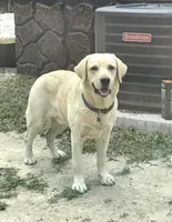 processed/961b4ded-91b2-430b-8432-1d00fbbe4baf/facility/85093039-9655-4c6f-aa3c-c14ad24596d1