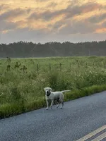 processed/961b4ded-91b2-430b-8432-1d00fbbe4baf/facility/a66cc4ea-f91c-4469-b7d3-5d07676e498c