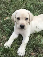 processed/961b4ded-91b2-430b-8432-1d00fbbe4baf/facility/d9bb4249-5995-4bde-9e8b-c5e81424dd07