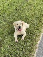 processed/961b4ded-91b2-430b-8432-1d00fbbe4baf/facility/e6cce9d7-f50c-46f7-a71b-02ae802824da