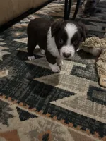 processed/961cfb94-3f7c-45d6-b7d0-45d1a6eba397/listing/4e347bb1-7b75-4c44-b7a9-634dc190ced7/13781589-aef3-4598-9c85-a663d1088c2d