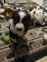 processed/961cfb94-3f7c-45d6-b7d0-45d1a6eba397/listing/4e347bb1-7b75-4c44-b7a9-634dc190ced7/dab8ff14-86e8-4952-9779-0e81b4b77033