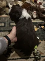 processed/961cfb94-3f7c-45d6-b7d0-45d1a6eba397/listing/4e347bb1-7b75-4c44-b7a9-634dc190ced7/f7dcc23a-4ba8-4342-80b1-fd530c46a710