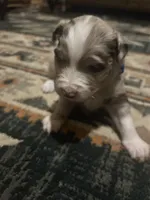 processed/961cfb94-3f7c-45d6-b7d0-45d1a6eba397/listing/b9fd5ce1-f4df-4414-9650-c331d77d9537/17b45073-62b0-4a13-bb14-e77e501308b3