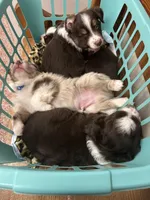 processed/961cfb94-3f7c-45d6-b7d0-45d1a6eba397/listing/b9fd5ce1-f4df-4414-9650-c331d77d9537/698b6752-3922-43ce-8859-f3c2e0e601d2