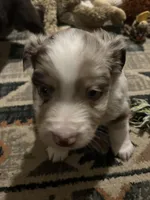 processed/961cfb94-3f7c-45d6-b7d0-45d1a6eba397/listing/b9fd5ce1-f4df-4414-9650-c331d77d9537/73b657ed-e018-4106-af86-2d74c89994c1