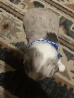 processed/961cfb94-3f7c-45d6-b7d0-45d1a6eba397/listing/b9fd5ce1-f4df-4414-9650-c331d77d9537/97a14dbe-0f82-4675-a665-fff0a0a51fc6