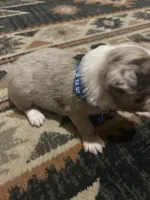 processed/961cfb94-3f7c-45d6-b7d0-45d1a6eba397/listing/b9fd5ce1-f4df-4414-9650-c331d77d9537/fb2474c7-5e97-4a7c-8993-c0161d0e4369