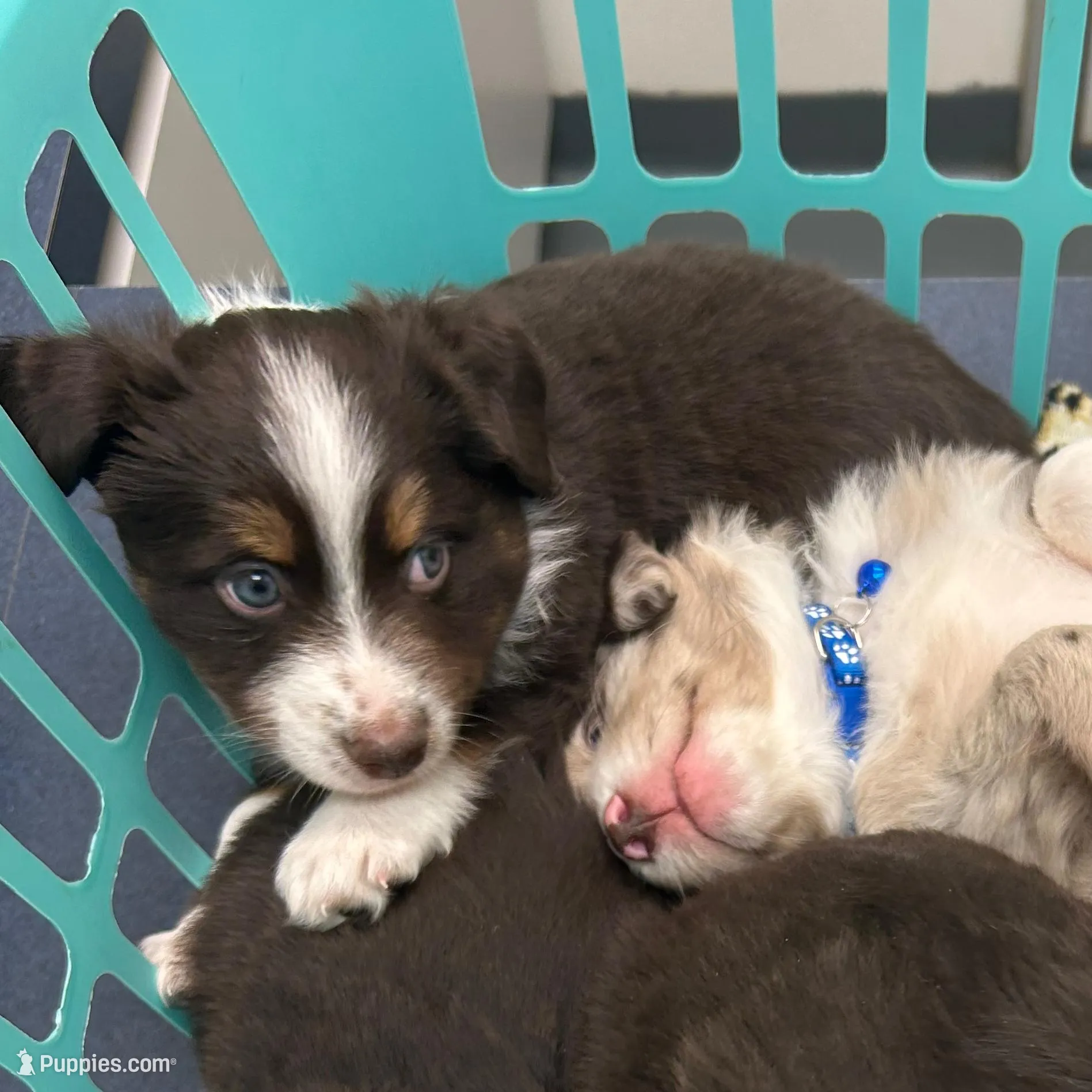 processed/961cfb94-3f7c-45d6-b7d0-45d1a6eba397/listing/d5ffe012-545e-44e3-97b7-1bd2728675dc/7bedc645-5b40-4388-acc2-9d63869450d0