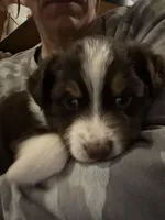 processed/961cfb94-3f7c-45d6-b7d0-45d1a6eba397/listing/d5ffe012-545e-44e3-97b7-1bd2728675dc/956ec3ae-5fb8-4d73-be19-a4602278a457