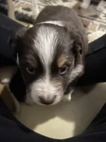 processed/961cfb94-3f7c-45d6-b7d0-45d1a6eba397/listing/d5ffe012-545e-44e3-97b7-1bd2728675dc/d867b870-fcf4-4305-8174-2a0a2373ca6a