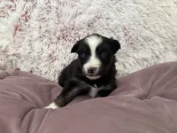 processed/961d4493-6305-47bc-8816-bbe3fcd1031e/listing/40b542d8-ebe9-49db-afa1-8c0d84be7a25/b80a1a8b-650c-431d-bf56-4bd7abbf87b6