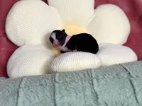 processed/961d4493-6305-47bc-8816-bbe3fcd1031e/listing/40b542d8-ebe9-49db-afa1-8c0d84be7a25/ed54167a-1ff3-4ac5-88e0-f1ee83fbaa86