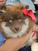 processed/961d4493-6305-47bc-8816-bbe3fcd1031e/listing/7114d2f6-1089-43d6-8cae-8a81e219eca9/24642db9-46aa-4274-9856-3f3db3392536