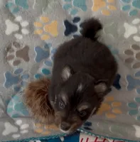 processed/961d4493-6305-47bc-8816-bbe3fcd1031e/listing/7114d2f6-1089-43d6-8cae-8a81e219eca9/53f3bdde-3f08-4d50-ab6c-0729c6a026c2