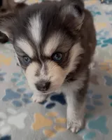 processed/961d4493-6305-47bc-8816-bbe3fcd1031e/listing/72f0d773-278c-4021-9d0d-ca28ee7df988/57fbf973-84fd-422a-82b7-80a832d24d51