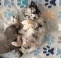 processed/961d4493-6305-47bc-8816-bbe3fcd1031e/listing/d6c27bfe-2099-48f4-b189-a2b775a3b9a0/a0e63ac2-6b2a-496c-8b06-ab7dff653afb